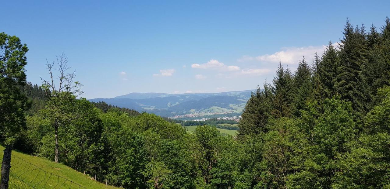 Gasthaus Sternen Post Oberried  Exteriér fotografie