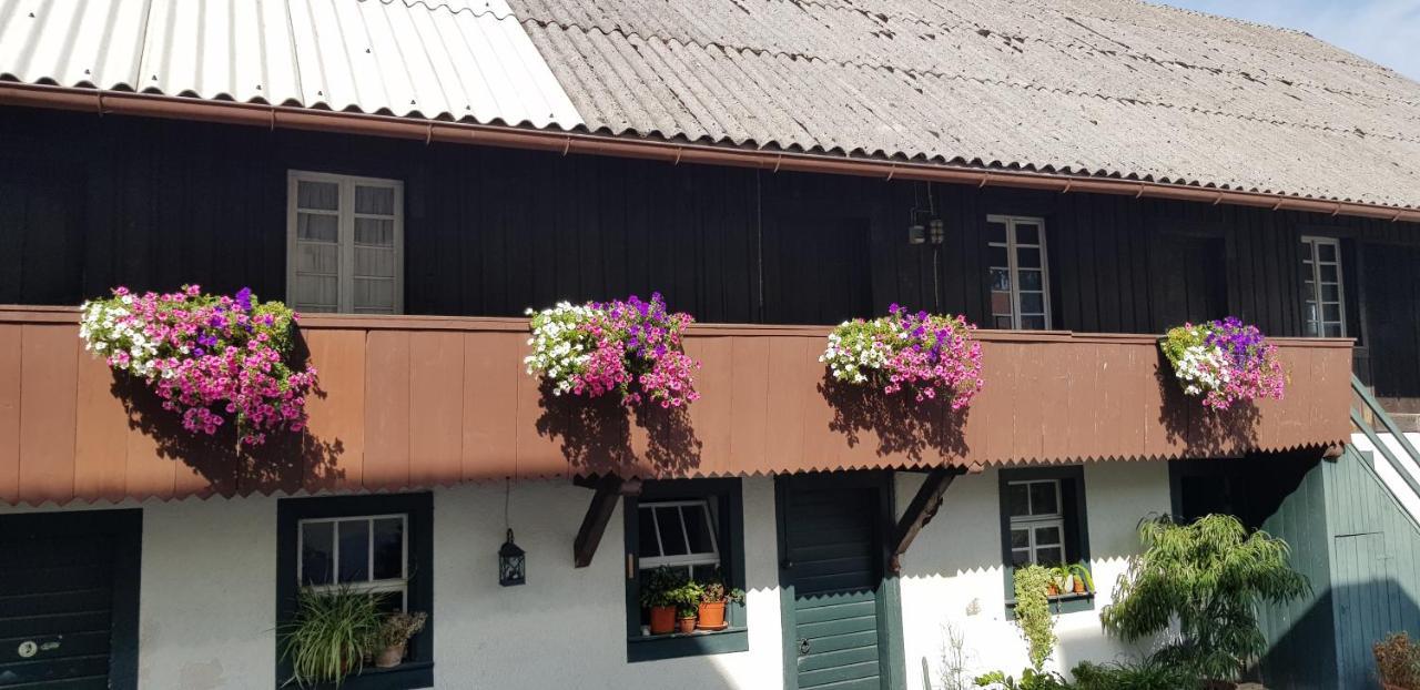 Gasthaus Sternen Post Oberried  Exteriér fotografie