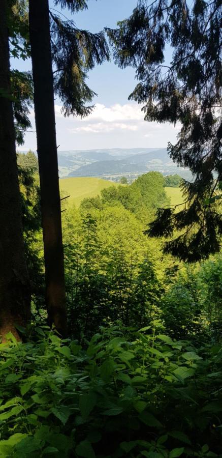 Gasthaus Sternen Post Oberried  Exteriér fotografie